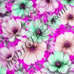 Colour:B