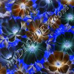 Colour:F