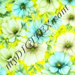 Colour:K