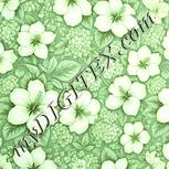 Colour:K