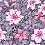 Colour:B