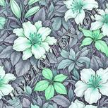 Colour:C
