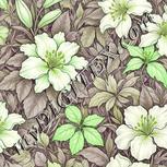 Colour:D