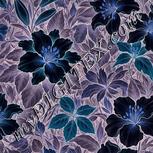 Colour:F