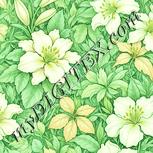 Colour:K