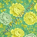 Colour:K