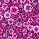 Colour:B
