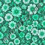 Colour:C