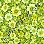Colour:K