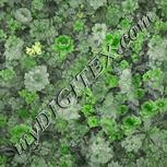 Colour:D
