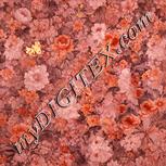 Colour:J
