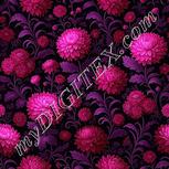 Colour:B