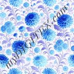 Colour:F