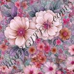 Colour:B