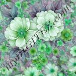Colour:C