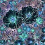 Colour:F