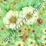 Colour:K