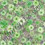 Colour:D