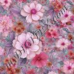 Colour:B