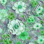 Colour:C