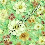 Colour:K