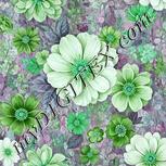 Colour:C