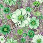 Colour:D