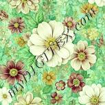 Colour:K