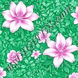 Colour:B