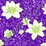 Colour:D