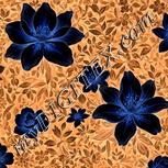 Colour:F