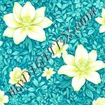 Colour:K