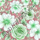 Colour:C