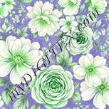Colour:D