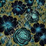 Colour:F