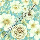 Colour:K