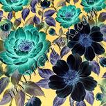 Colour:F