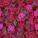 Colour:B
