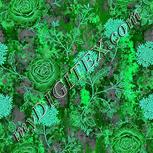 Colour:C