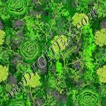 Colour:D