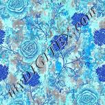 Colour:F
