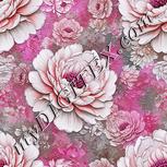 Colour:B