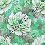 Colour:C