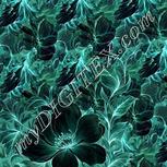 Colour:F