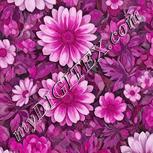 Colour:B
