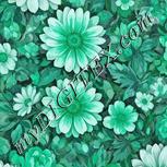 Colour:C