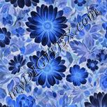 Colour:F