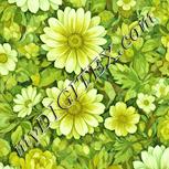 Colour:K