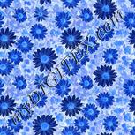 Colour:F