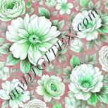Colour:C